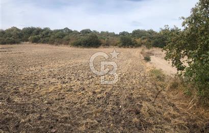 CB KiNG'DEN MANYAS SÜLEYMANLI MAH'DE SATILIK 7022 M2 TARLA