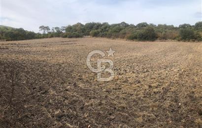 CB KiNG'DEN MANYAS SÜLEYMANLI MAH'DE SATILIK 7022 M2 TARLA