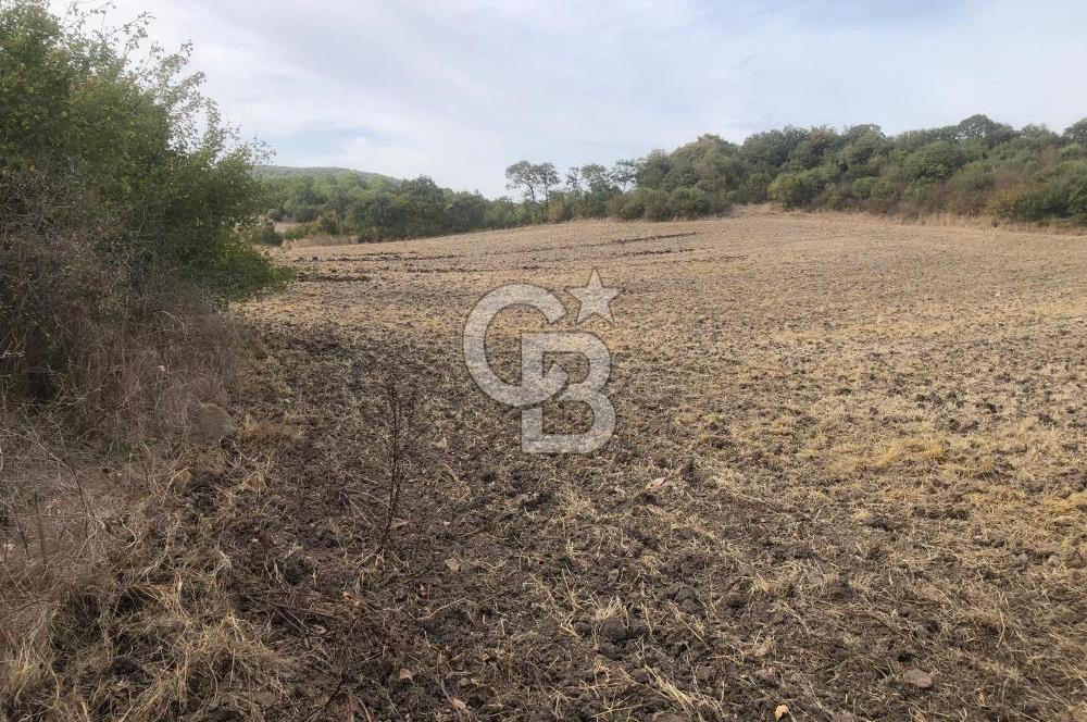 CB KiNG'DEN MANYAS SÜLEYMANLI MAH'DE SATILIK 7022 M2 TARLA