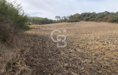 CB KiNG'DEN MANYAS SÜLEYMANLI MAH'DE SATILIK 7022 M2 TARLA