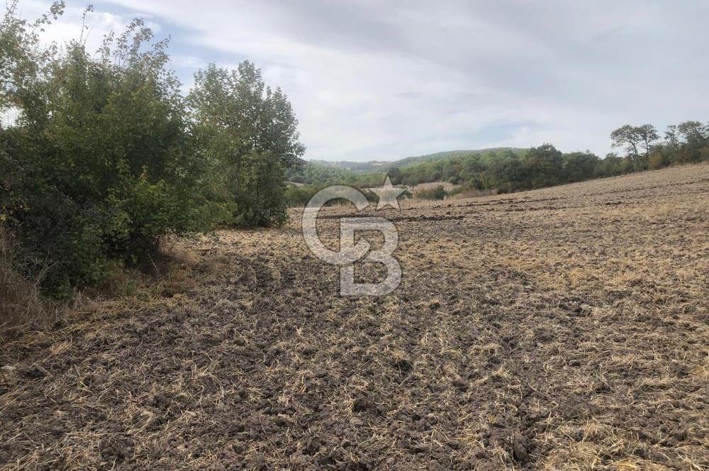 CB KiNG'DEN MANYAS SÜLEYMANLI MAH'DE SATILIK 7022 M2 TARLA