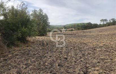 CB KiNG'DEN MANYAS SÜLEYMANLI MAH'DE SATILIK 7022 M2 TARLA