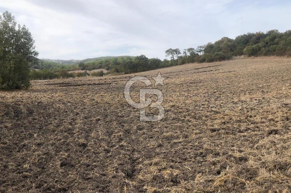 CB KiNG'DEN MANYAS SÜLEYMANLI MAH'DE SATILIK 7022 M2 TARLA