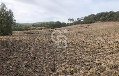 CB KiNG'DEN MANYAS SÜLEYMANLI MAH'DE SATILIK 7022 M2 TARLA