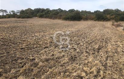 CB KiNG'DEN MANYAS SÜLEYMANLI MAH'DE SATILIK 7022 M2 TARLA