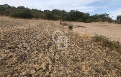 CB KiNG'DEN MANYAS SÜLEYMANLI MAH'DE SATILIK 7022 M2 TARLA