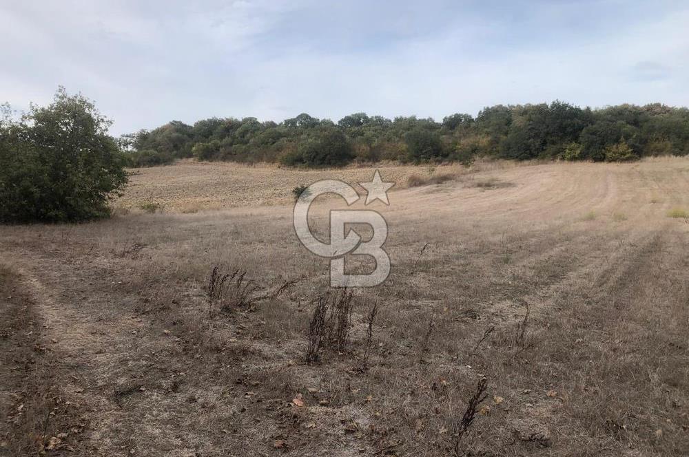 CB KiNG'DEN MANYAS SÜLEYMANLI MAH'DE SATILIK 7022 M2 TARLA