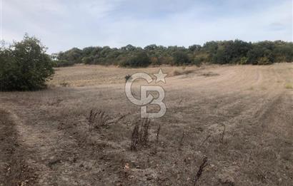 CB KiNG'DEN MANYAS SÜLEYMANLI MAH'DE SATILIK 7022 M2 TARLA