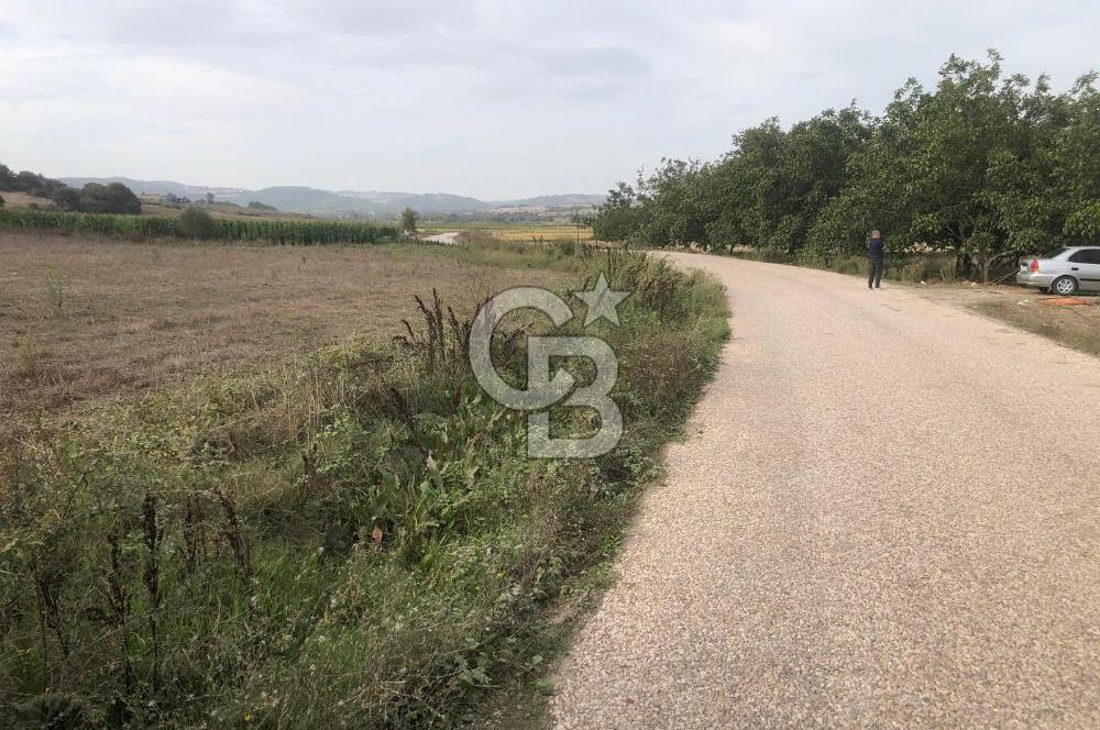 CB KiNG'DEN MANYAS SÜLEYMANLI MAH'DE SATILIK 7022 M2 TARLA