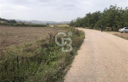 CB KiNG'DEN MANYAS SÜLEYMANLI MAH'DE SATILIK 7022 M2 TARLA