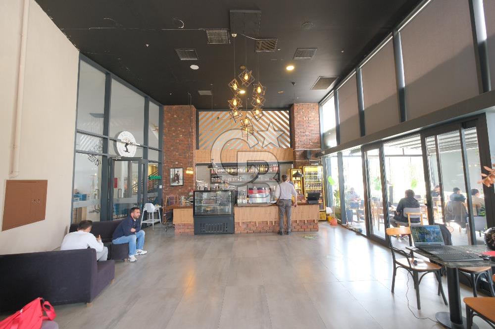 Bornova Coordinat ‘da  Eşyalı Balkonlu 1+0 Daire