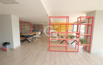 Bornova Coordinat ‘da  Eşyalı Balkonlu 1+0 Daire