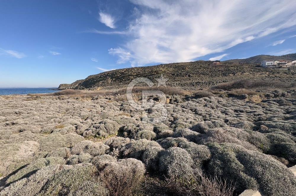 Gökçeada Kuzulimanında 4730 m2 Satılık Turizm İmarlı Arsa