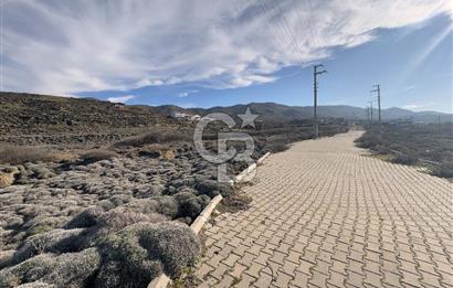 Gökçeada Kuzulimanında 4730 m2 Satılık Turizm İmarlı Arsa