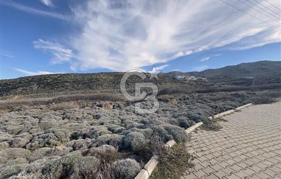 Gökçeada Kuzulimanında 4730 m2 Satılık Turizm İmarlı Arsa