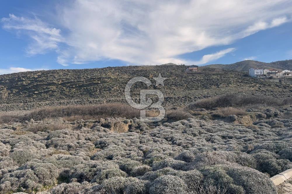 Gökçeada Kuzulimanında 4730 m2 Satılık Turizm İmarlı Arsa