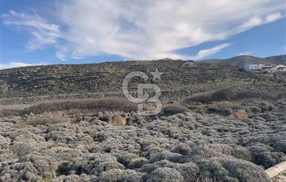Gökçeada Kuzulimanında 4730 m2 Satılık Turizm İmarlı Arsa