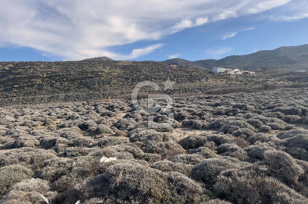 Gökçeada Kuzulimanında 4730 m2 Satılık Turizm İmarlı Arsa