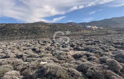 Gökçeada Kuzulimanında 4730 m2 Satılık Turizm İmarlı Arsa