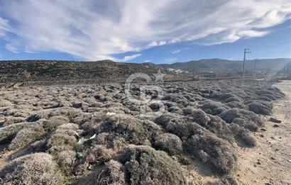 Gökçeada Kuzulimanında 4730 m2 Satılık Turizm İmarlı Arsa