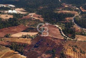 BURSA İZNİK BAYINDIR GOLE YAKIN SATILIK BAĞ 