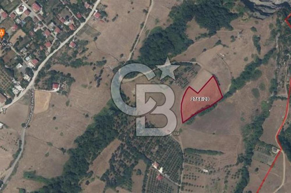 TEKKEKÖY KUTLUKENT KARŞIYAKA'DA DENİZ MANZARALI SATILIK TARLA