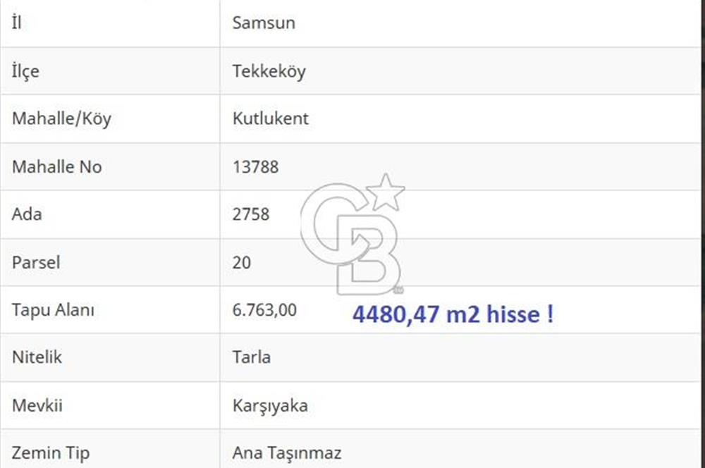 TEKKEKÖY KUTLUKENT KARŞIYAKA'DA DENİZ MANZARALI SATILIK TARLA