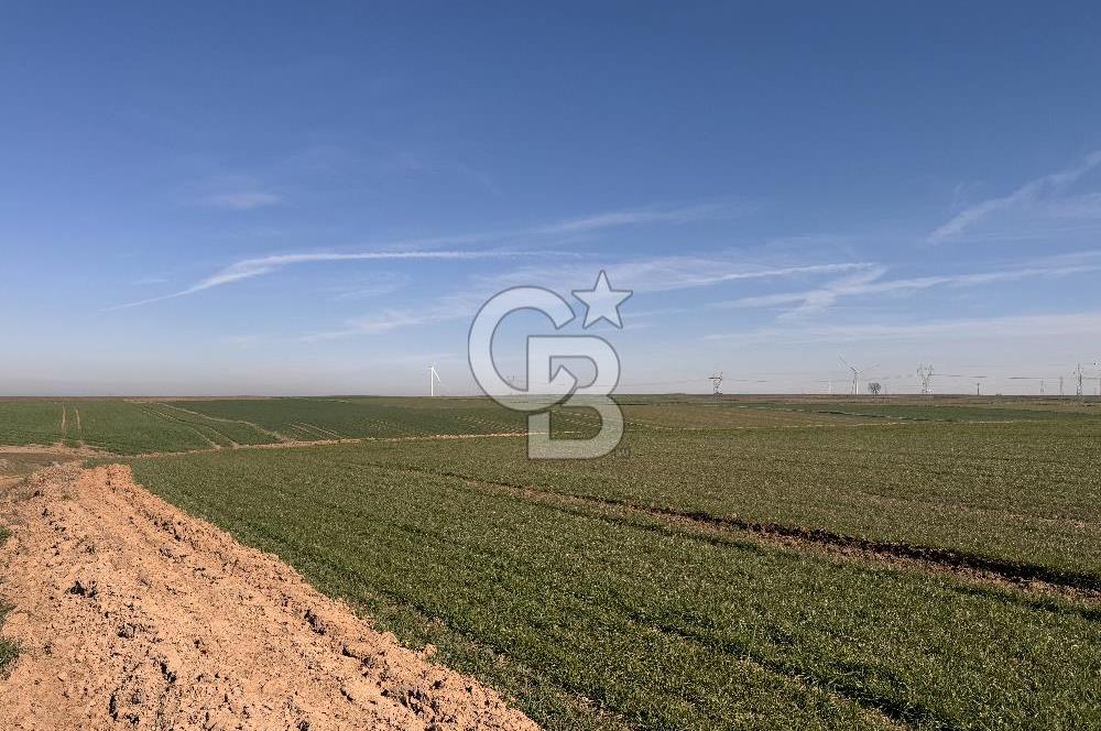 Çorlu Kemalettin Mah 7.540 m2 Lojistik Tesis İmarlı Satılık Arsa