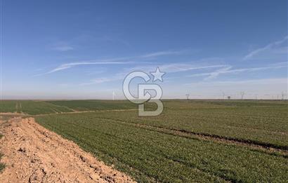 Çorlu Kemalettin Mah 7.540 m2 Lojistik Tesis İmarlı Satılık Arsa