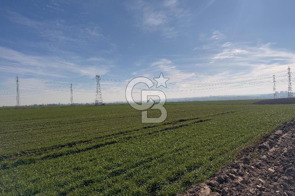 Çorlu Kemalettin Mah 7.540 m2 Lojistik Tesis İmarlı Satılık Arsa