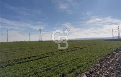 Çorlu Kemalettin Mah 7.540 m2 Lojistik Tesis İmarlı Satılık Arsa