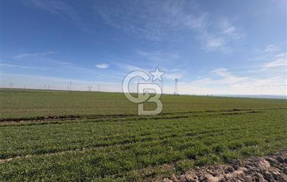 Çorlu Kemalettin Mah 7.540 m2 Lojistik Tesis İmarlı Satılık Arsa
