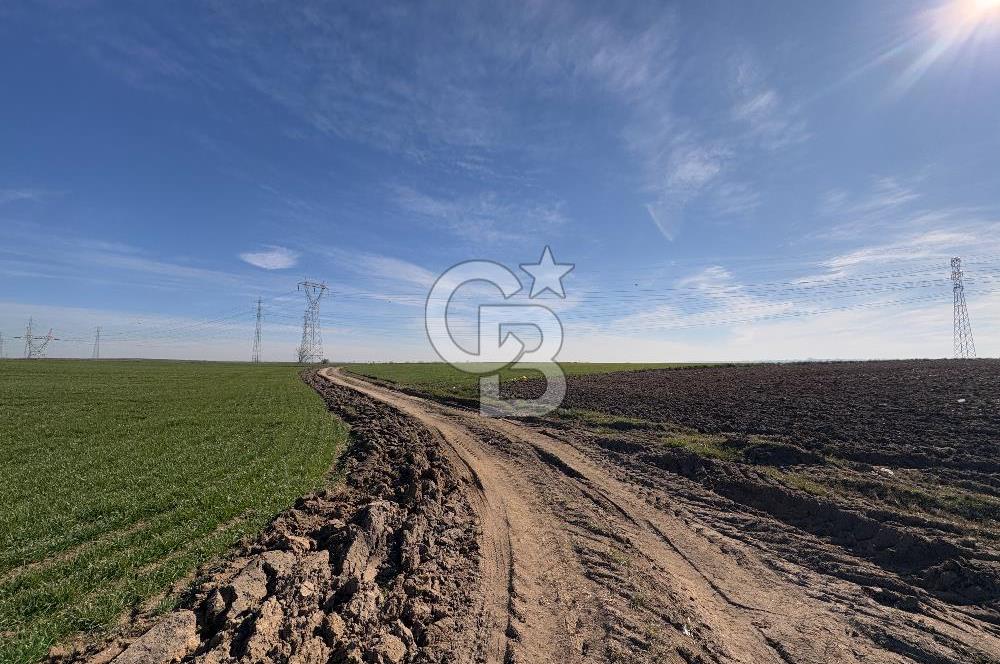 Çorlu Kemalettin Mah 7.540 m2 Lojistik Tesis İmarlı Satılık Arsa