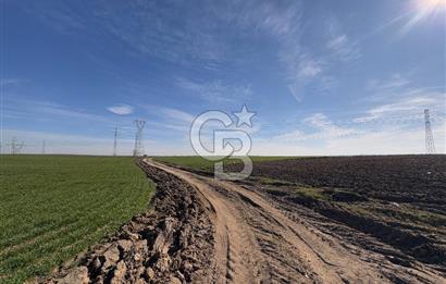 Çorlu Kemalettin Mah 7.540 m2 Lojistik Tesis İmarlı Satılık Arsa