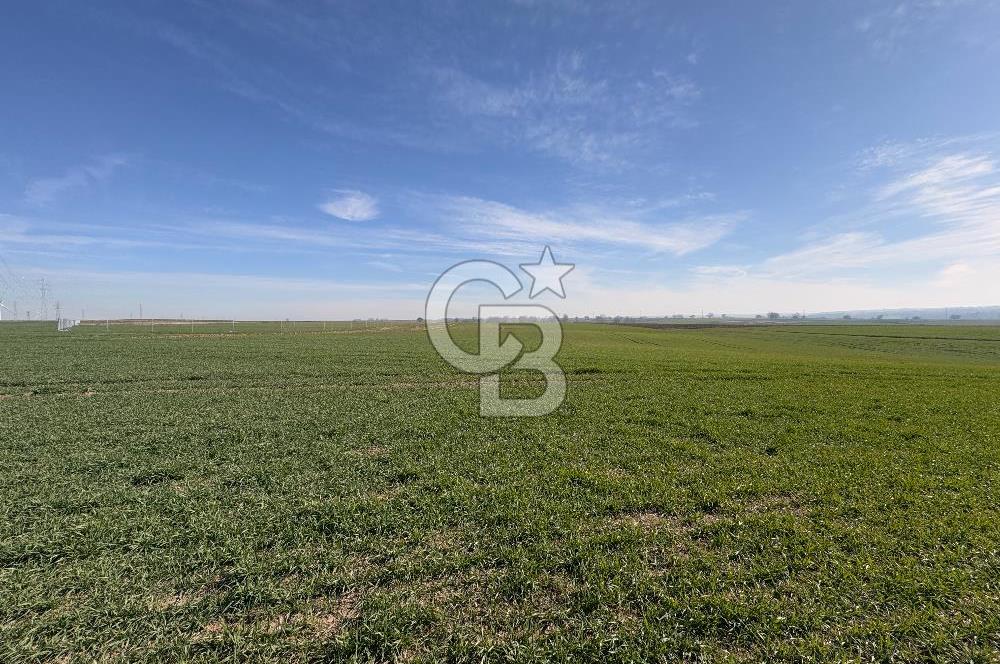 Çorlu Kemalettin Mah 7.540 m2 Lojistik Tesis İmarlı Satılık Arsa