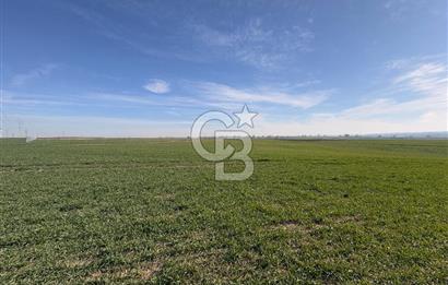 Çorlu Kemalettin Mah 7.540 m2 Lojistik Tesis İmarlı Satılık Arsa