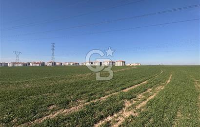 Çorlu Kemalettin Mah 7.540 m2 Lojistik Tesis İmarlı Satılık Arsa