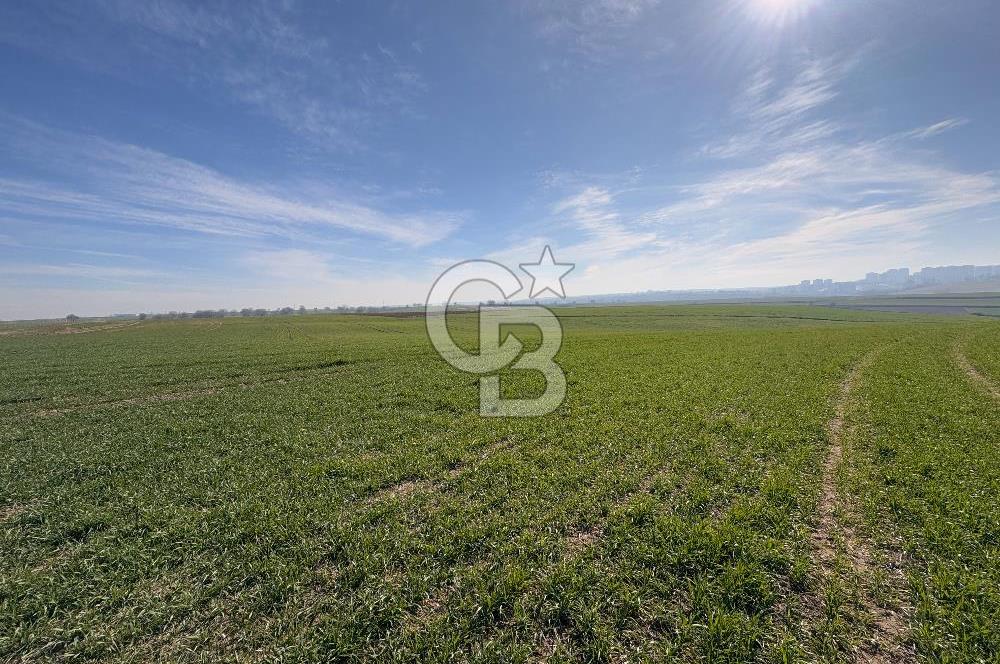 Çorlu Kemalettin Mah 7.540 m2 Lojistik Tesis İmarlı Satılık Arsa