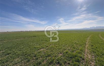 Çorlu Kemalettin Mah 7.540 m2 Lojistik Tesis İmarlı Satılık Arsa