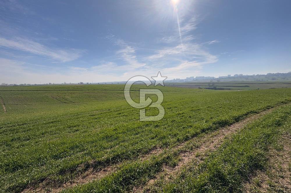 Çorlu Kemalettin Mah 7.540 m2 Lojistik Tesis İmarlı Satılık Arsa