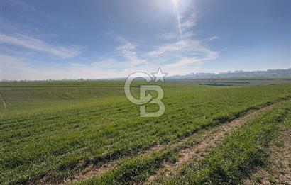 Çorlu Kemalettin Mah 7.540 m2 Lojistik Tesis İmarlı Satılık Arsa