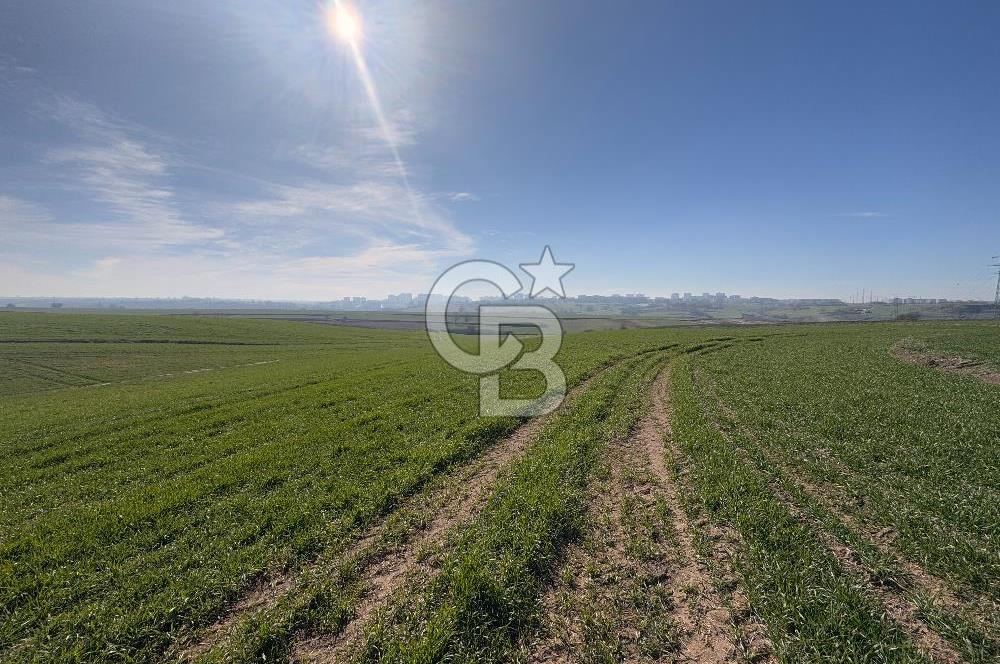 Çorlu Kemalettin Mah 7.540 m2 Lojistik Tesis İmarlı Satılık Arsa