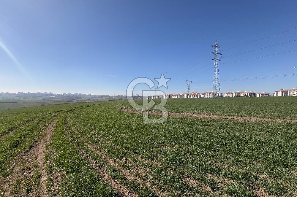 Çorlu Kemalettin Mah 7.540 m2 Lojistik Tesis İmarlı Satılık Arsa