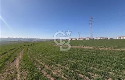 Çorlu Kemalettin Mah 7.540 m2 Lojistik Tesis İmarlı Satılık Arsa