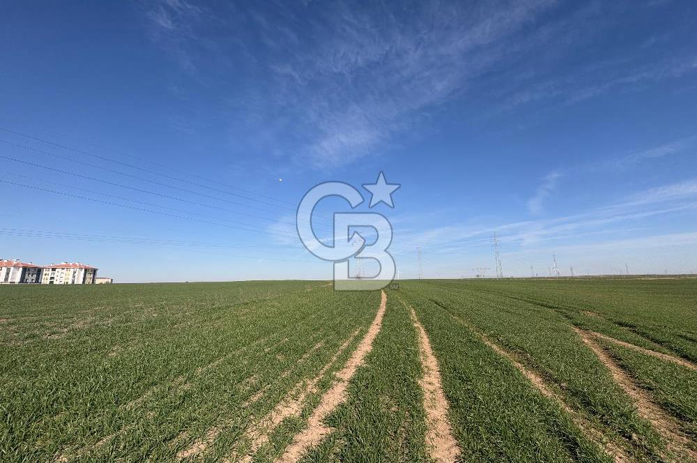 Çorlu Kemalettin Mah 7.540 m2 Lojistik Tesis İmarlı Satılık Arsa