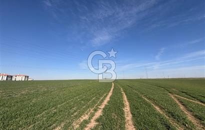 Çorlu Kemalettin Mah 7.540 m2 Lojistik Tesis İmarlı Satılık Arsa