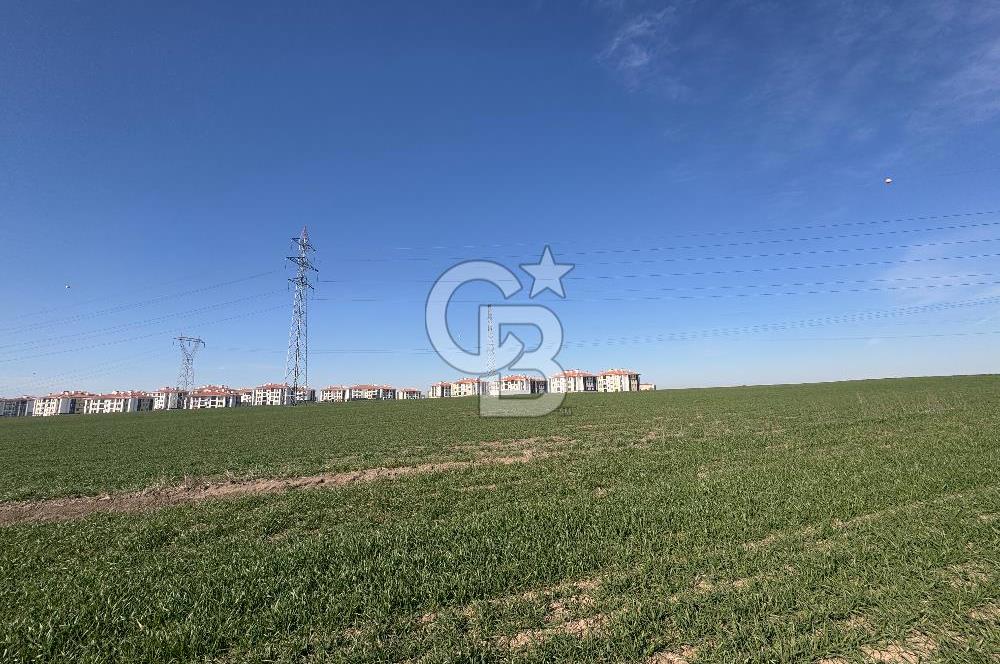 Çorlu Kemalettin Mah 7.540 m2 Lojistik Tesis İmarlı Satılık Arsa