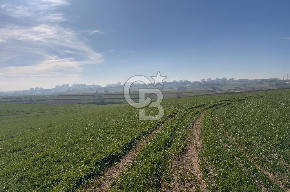 Çorlu Kemalettin Mah 7.540 m2 Lojistik Tesis İmarlı Satılık Arsa