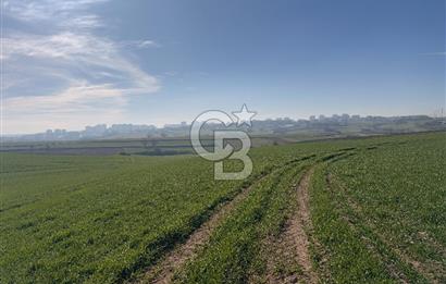 Çorlu Kemalettin Mah 7.540 m2 Lojistik Tesis İmarlı Satılık Arsa