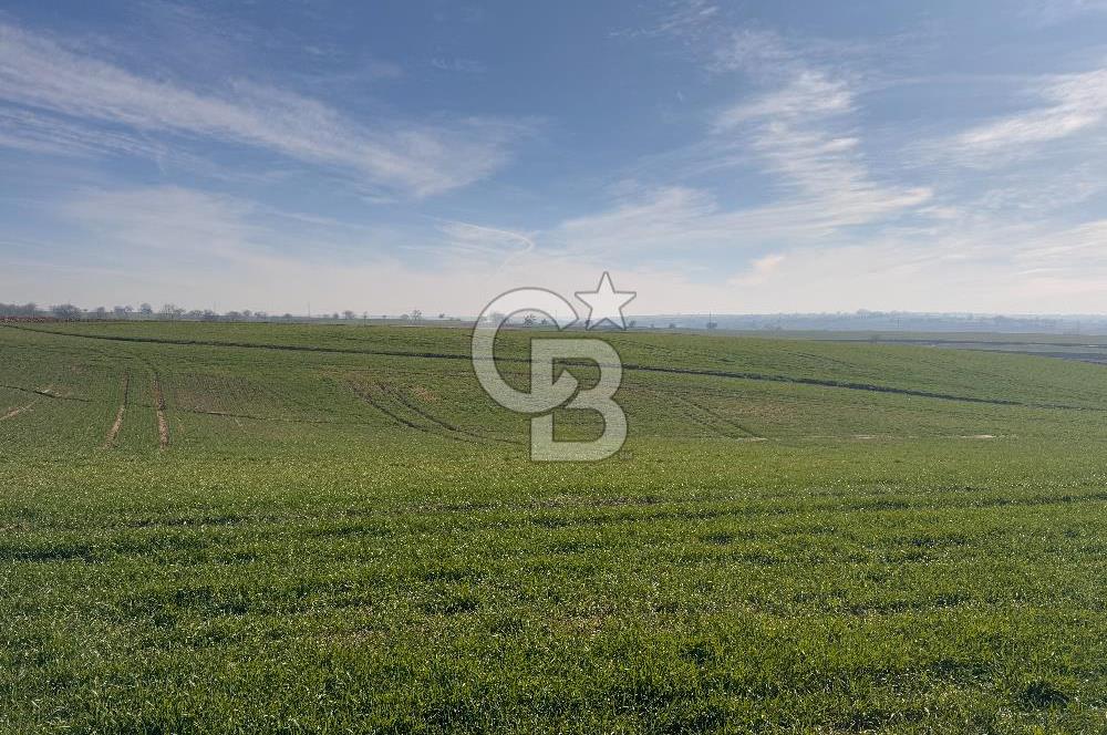 Çorlu Kemalettin Mah 7.540 m2 Lojistik Tesis İmarlı Satılık Arsa